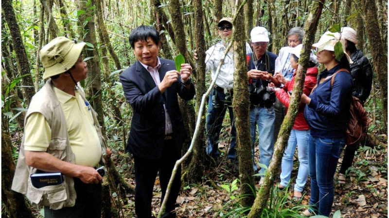 Vườn quốc gia Bidoup Núi Bà có hơn 250 loài lan rừng