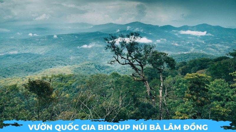 Vườn quốc gia Bidoup Núi Bà Lâm Đồng