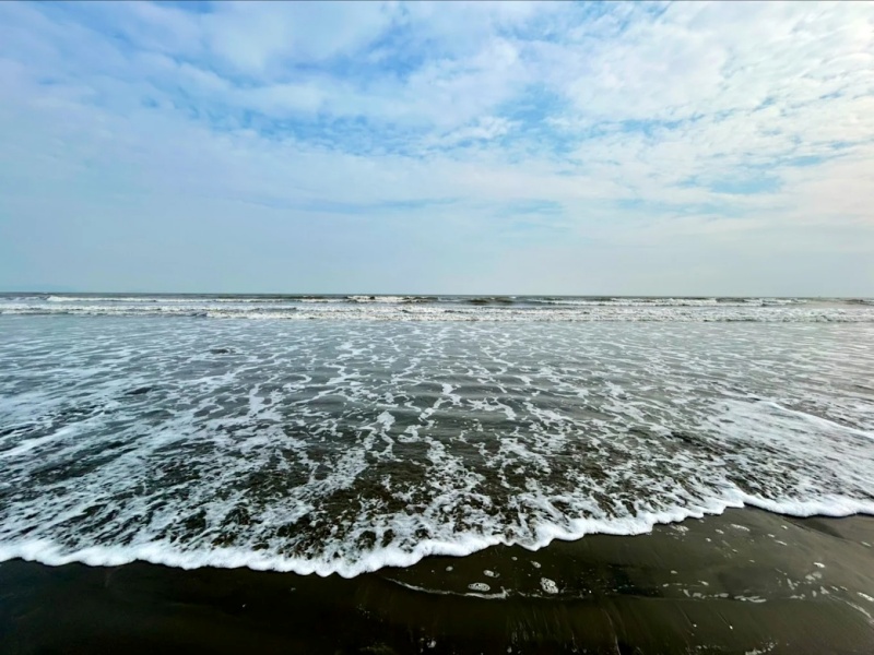 Nước biển 30/4 có màu sẫm là do phù sa bồi tụ từ các dòng sông đổ ra và đặc tính địa chất của rừng ngập mặn