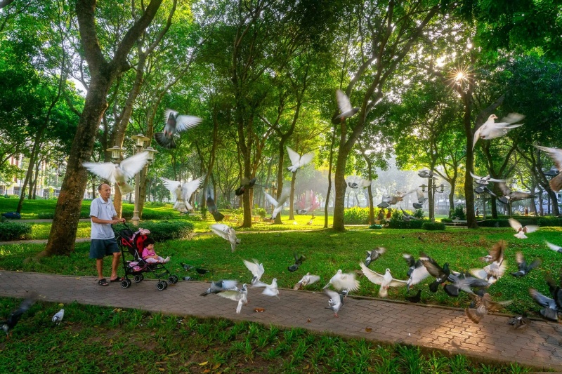 Công viên Celadon City mở cửa tự do cho người dân vào tham quan, tập thể dục và dạo mát