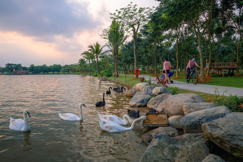 Hồ Thiên Nga Ecopark có tổng diện tích lên đến 52 ha