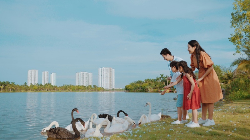 Đến với Công viên Hồ Thiên Nga Ecopark, du khách sẽ được ngắm những chú thiên nga bơi lội tung tăng