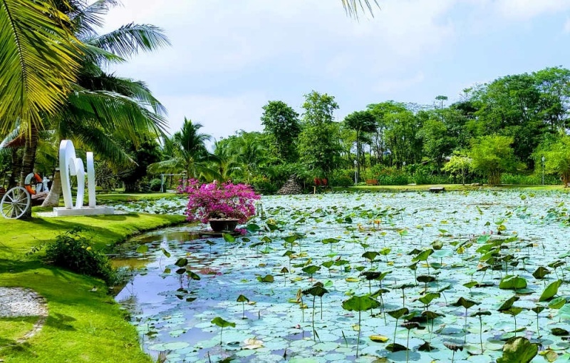 Hồ sen tại Công viên Mùa Xuân Ecopark có quy mô vừa phải, được thiết kế với các đường dạo ven hồ rợp bóng cây