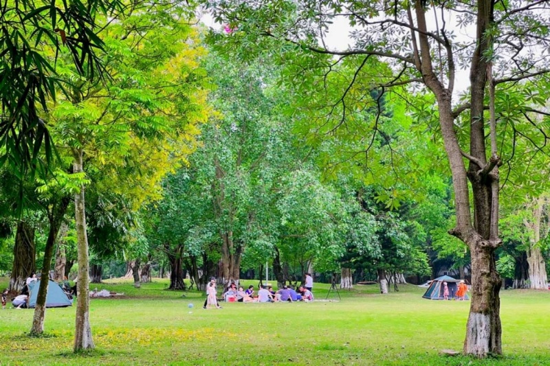 Bạn có thể mang đồ ăn nhẹ đến Công viên Mùa Xuân Ecopark