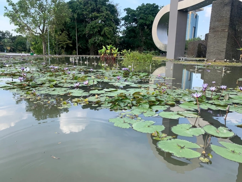 Đài phun nước Thành phố mới Bình Dương