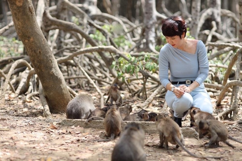 Khu căn cứ Vàm Sát Đảo Khỉ là nơi chứa hơn 2.000 con khỉ