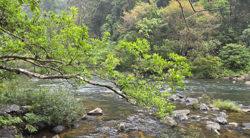 Núi lửa Chư Bluk: Kinh nghiệm trekking & khám phá hang động 9 Hồ nước tự nhiên tại quần thể hang động núi lửa Chư Bluk