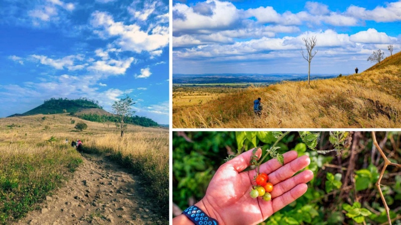 Núi lửa Chư Bluk: Kinh nghiệm trekking & khám phá hang động 14 Núi lửa Chư Bluk
