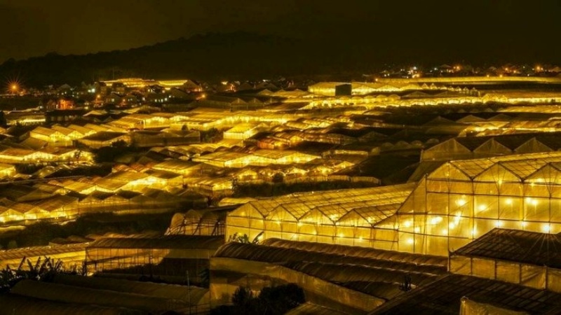 Khung cảnh Thung Lũng Đ&egrave;n v&agrave;o ban đ&ecirc;m huyền ảo v&agrave; lung linh đến cho&aacute;ng ngợp