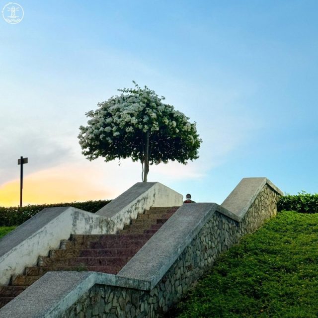 Hồ Bà Tô Xuyên Mộc: Điểm dạo mát, câu cá & ăn vặt hấp dẫn 7 Hồ Bà Tô Xuyên Mộc