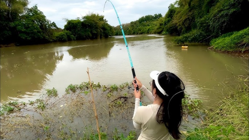 Thời điểm thích hợp để câu cá là vào sáng sớm hoặc buổi chiều tà khi nắng dịu là lúc cá đi ăn mạnh nhất