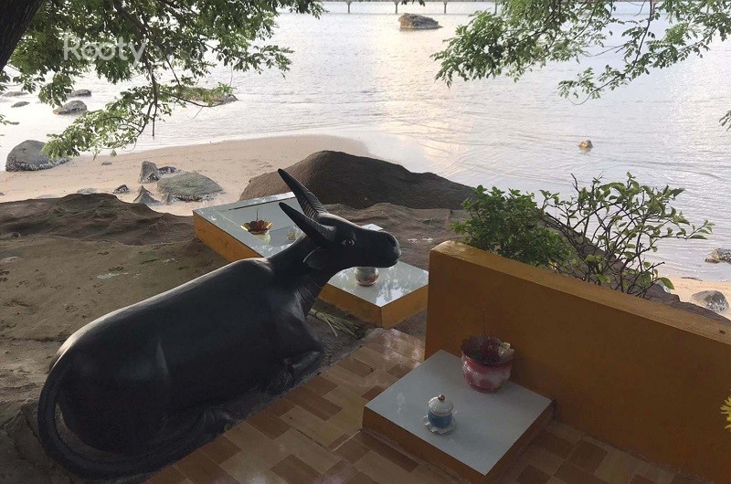 Bức tượng trâu đen tại Mũi Trâu Nằm