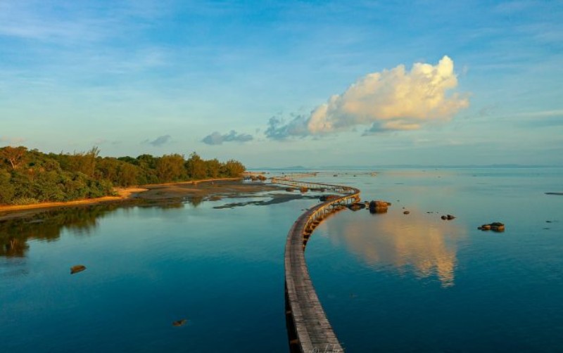 Ở Mũi Trâu Nằm có cây cầu bằng gỗ mộc mạc chạy tít tắp ra ngoài biển