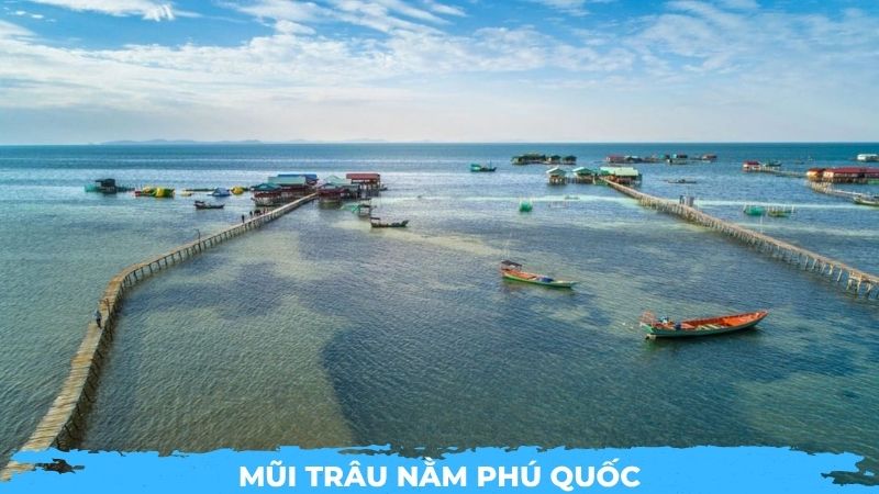 Mũi Trâu Nằm Phú Quốc
