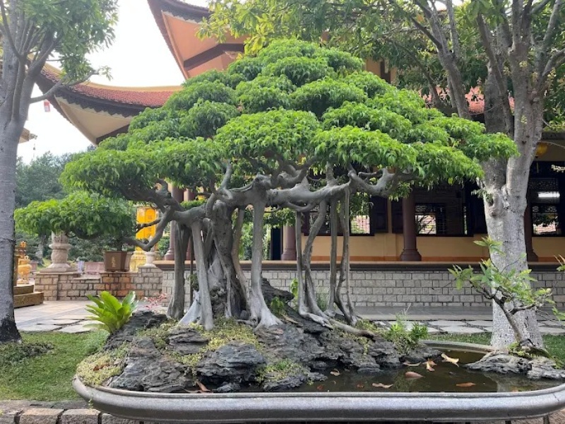 Thiền viện Linh Chiếu Long Th&agrave;nh Đồng Nai