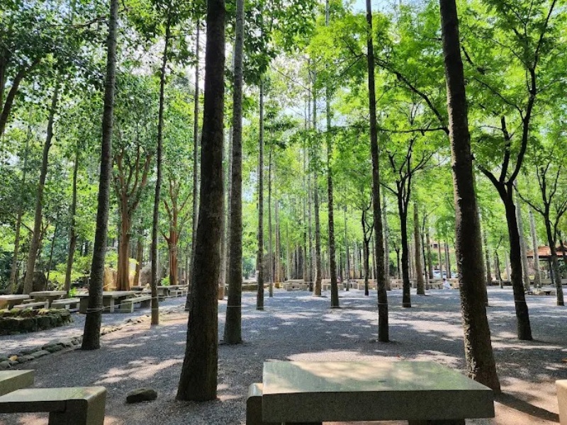 Thiền viện Thường Chiếu: Lịch sử, kiến trúc và kinh nghiệm tham quan 10 Khuôn viên Thiền viện Thường Chiếu