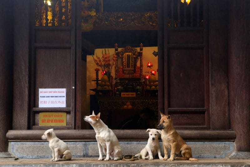 Đền Thủy Trung Tiên Hà Nội