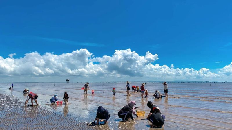 Cào nghêu tại khu du lịch biển Tân Thành là một trải nghiệm thú vị không thể bỏ lỡ 